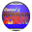 Kürtce Radyo APK