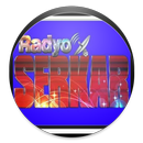 Kürtce Radyo APK