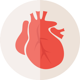 PocketAnatomy - Learn Anatomy-APK