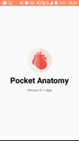 PocketAnatomy Affiche