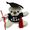SG University Admission Info
