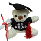 SG University Admission Info أيقونة