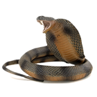 ikon Snake