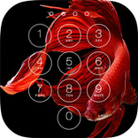 Betta Fish Lock Screen