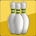 Bowling Companion