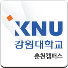 강원대학교 춘천캠퍼스 취업통계관리 biểu tượng