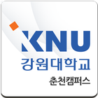 강원대학교 춘천캠퍼스 취업통계관리 아이콘