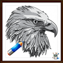 Drawing to The Eagle APK