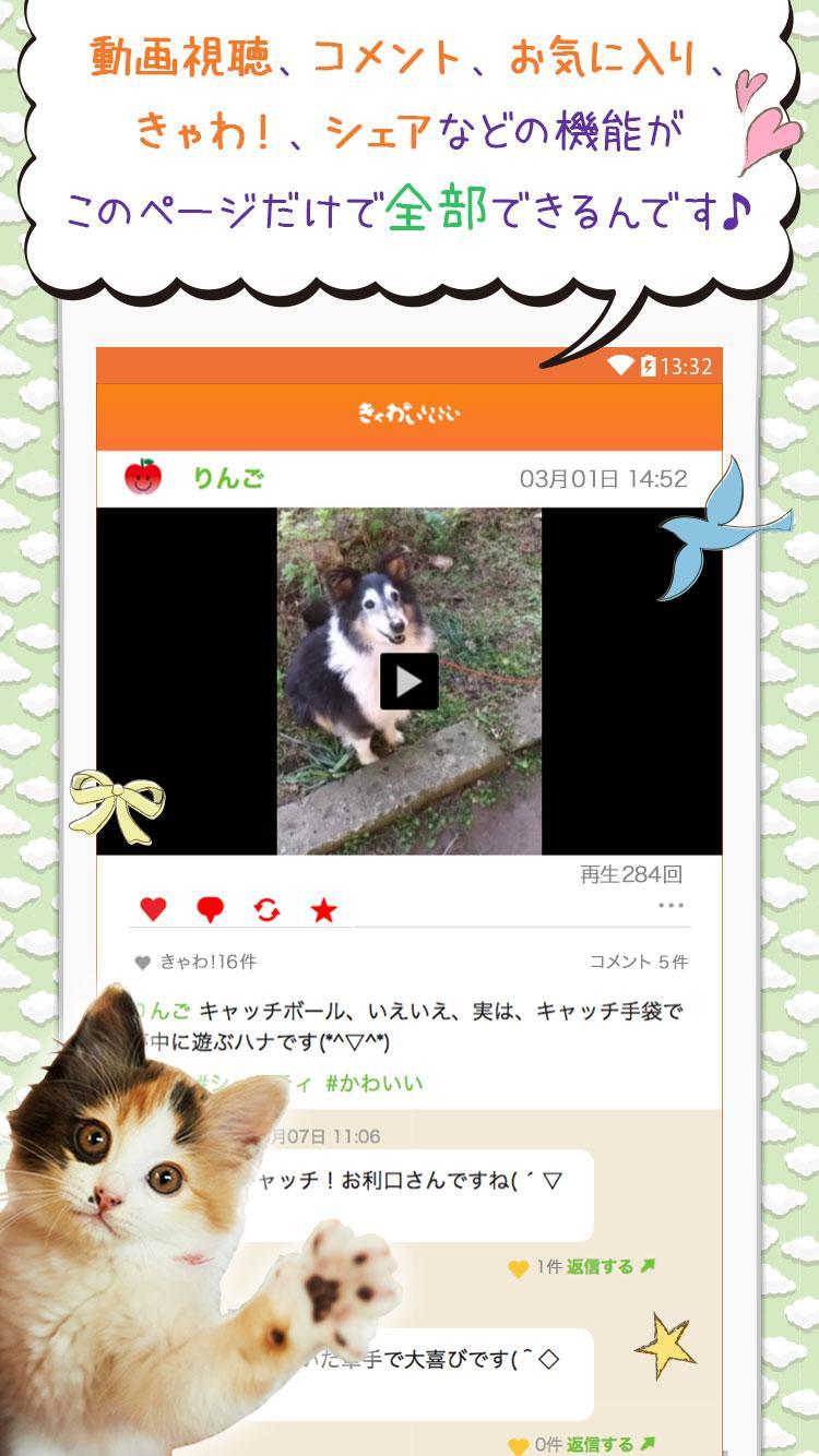 きゃわいいいいい 無料 犬猫ペット動物動画投稿アプリ Cho Android Tải Về Apk