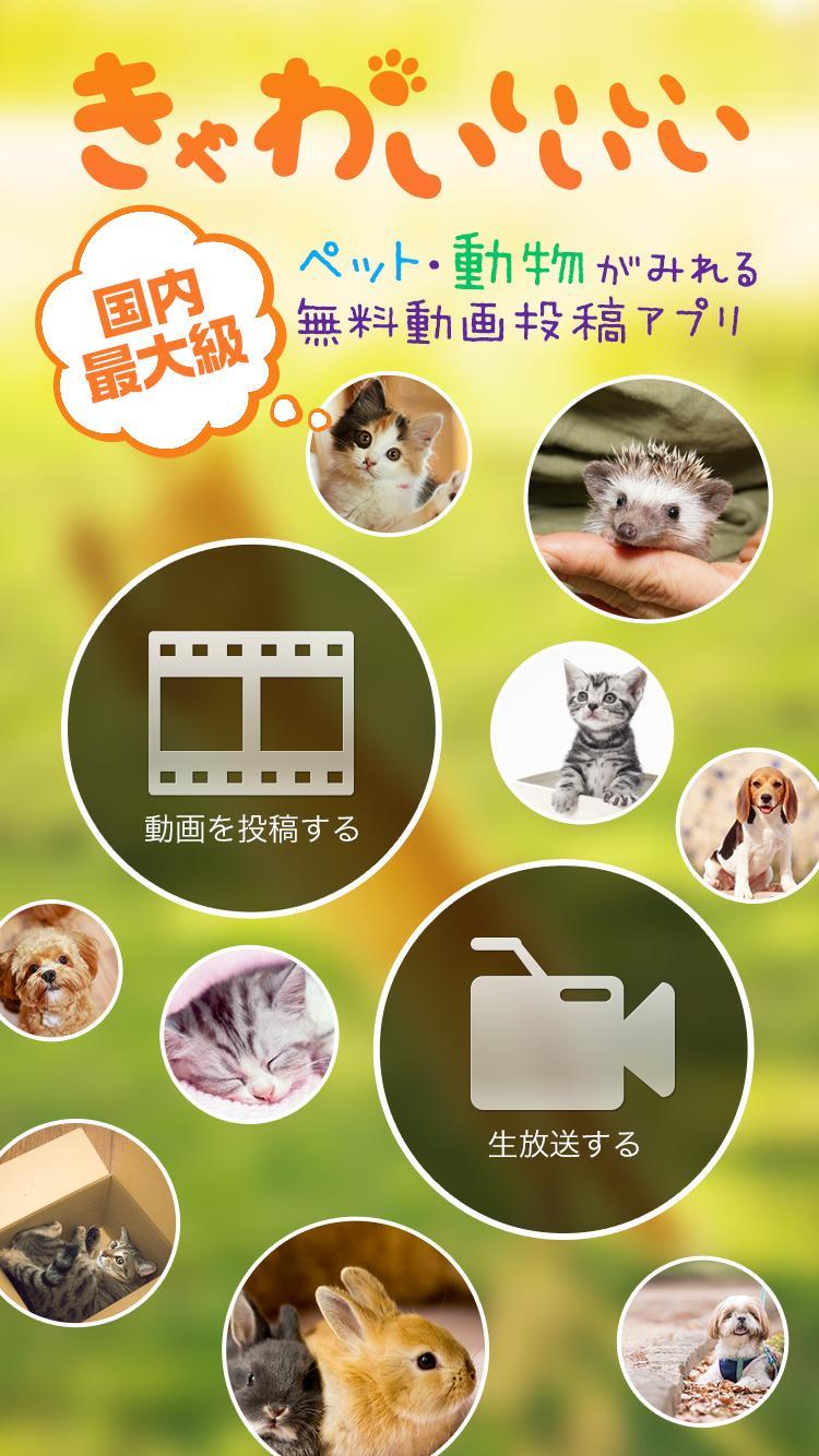 きゃわいいいいい 無料 犬猫ペット動物動画投稿アプリ Cho Android Tải Về Apk