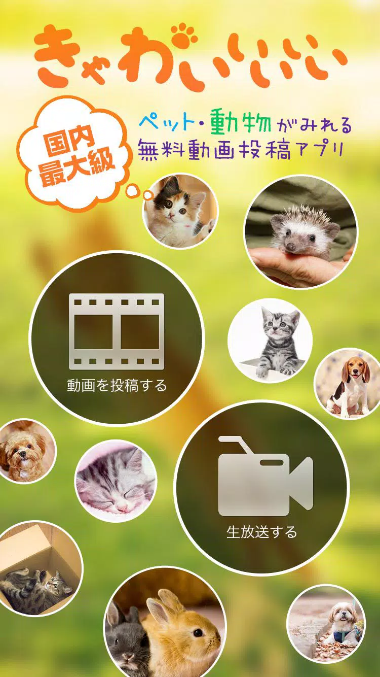 きゃわいいいいい 無料 犬猫ペット動物動画投稿アプリ Apk Fur Android Herunterladen