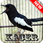 Kacer Offline icono