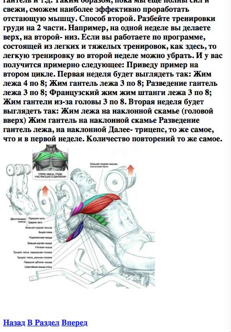 Как накачать шею мужчине. Упражнения для накачивания шейных мышц. Упражнения для прокачки шеи. Упражнения для накачивания мышц шеи. Прокачать мышцы шеи.