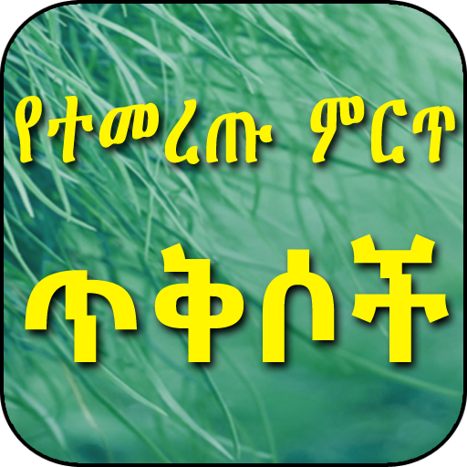 የተመረጡ ምርጥ ጥቅሶች Quotes in Amhar