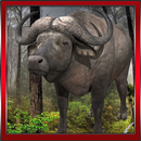 Wild Buffalo Simulator APK