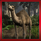 3D Camel Hill Climb иконка