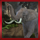 Wild Elephant Rampage icône