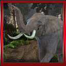 Elefante selvagem Rampage APK