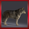 Forest Wolf 3D APK