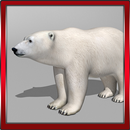 3D Urso Polar APK