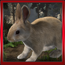 Bunny Hop Simulator-APK