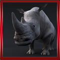 Selvagem Rhinoceros Simulator