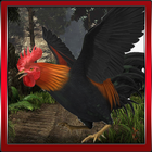 Roosters 3D Simulation ikon