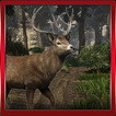 The Deer Runner