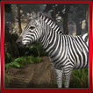 Zebra Simulação 3D