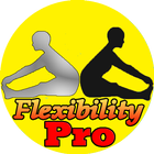 Flexibility Exercises Pro icône