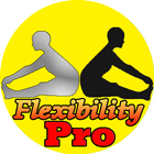 Flexibility Exercises Pro ícone