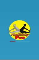 Flexibility Exercises Pro Affiche