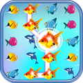 Fish Connect