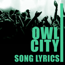 Owl City Lyrics Top Hits APK