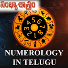 Numerology in Telugu ícone