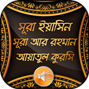 সূরা ইয়াসিন ও আয়াতুল কুরসি APK