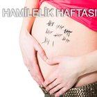 Hamilelik Haftası Hesaplama أيقونة