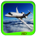 Avion Smulation 3D icône