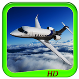 ”Airplane Smulation 3D