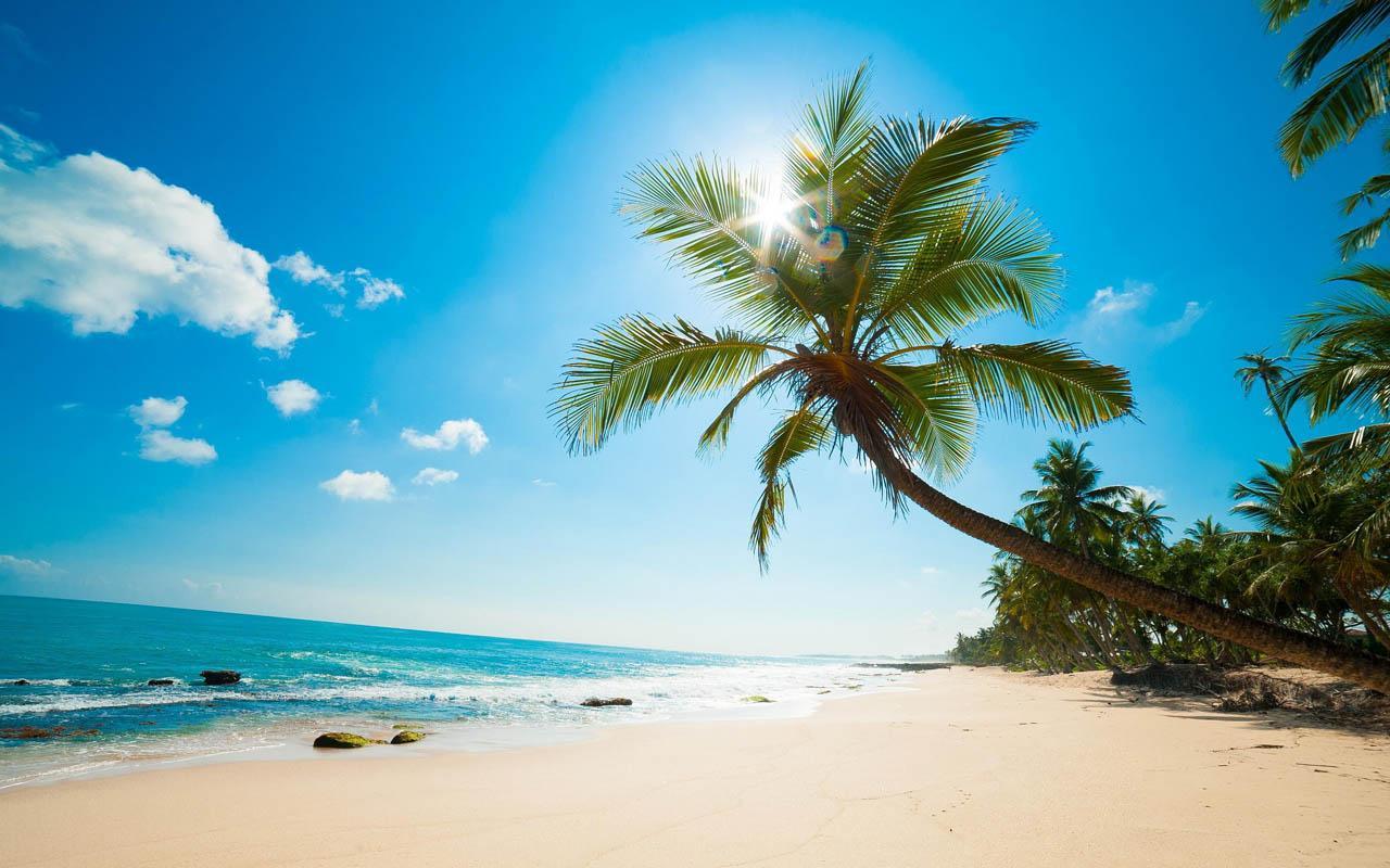 Sandy Beach Wallpaper HD APK for Android Download Sandy Beach Wallpaper HD APK for Android Download