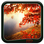 ”Autumn Wallpaper HD