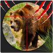 Hoang dã BEAR HUNTER 3D