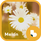 멜론(Melon) 꽃 버즈런처 테마 (홈팩) biểu tượng