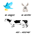 Hindi Alphabet