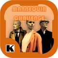 Mannequin Challenge Video