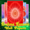 ”Brahma Kumaris WallPapers