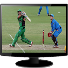 Live Cricket TV 2017 圖標