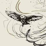 The Owl & The Dust Devil