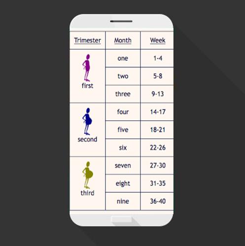 Week To Week Pregnancy Calendar