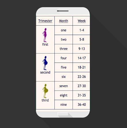 Pregnancy Calendar Week By Week Calculator For Android Apk Download